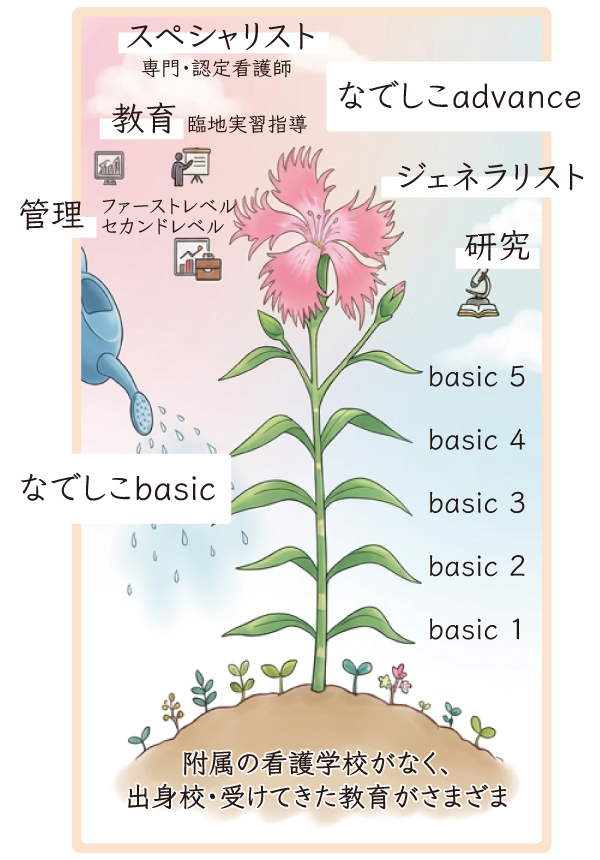 教育制度のなでしこ図