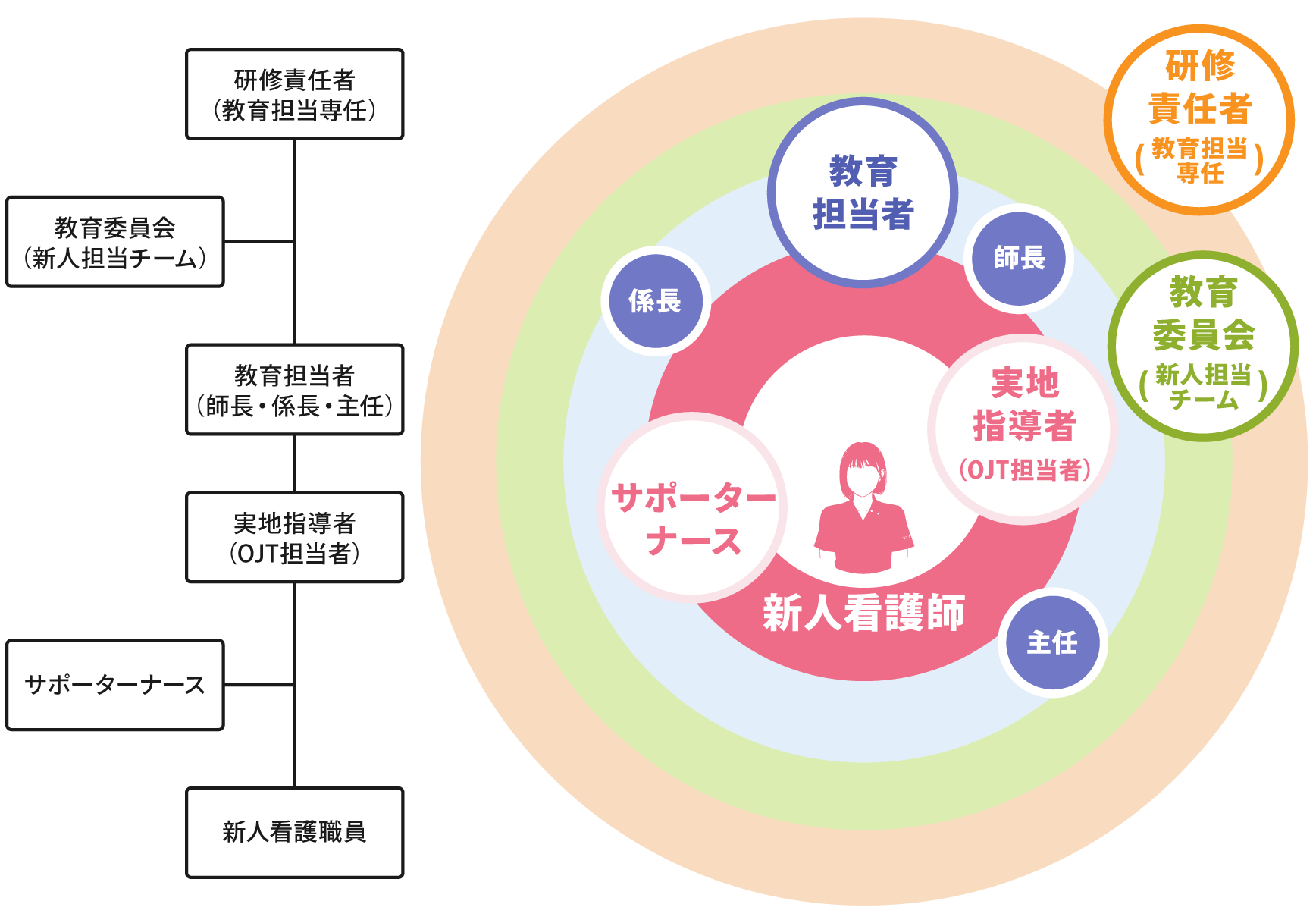 なでしこbasicの経年別教育グラフ