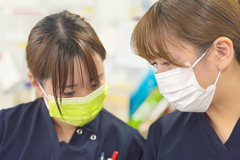 充実した教育体制
