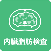 内臓脂肪検査