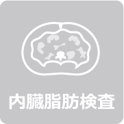 内臓脂肪検査